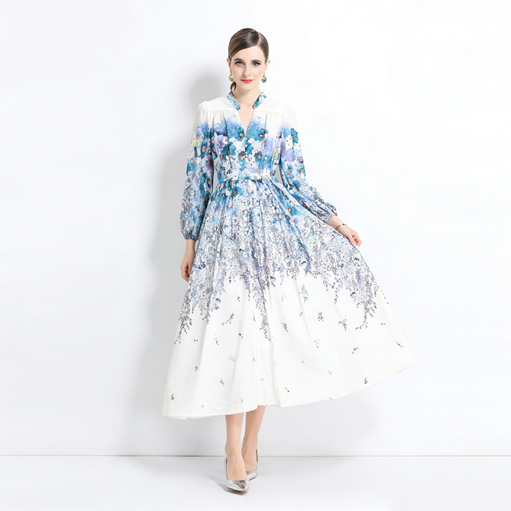 Printing long sleeve V-neck temperament long dress