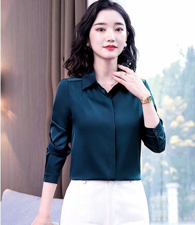 Spring temperament all-match non-ironing shirt for women