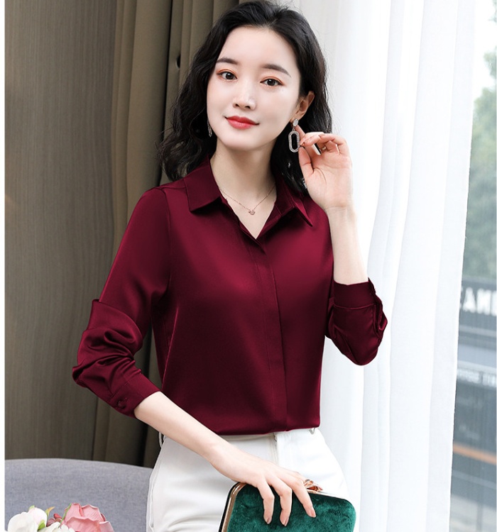 Spring temperament all-match non-ironing shirt for women