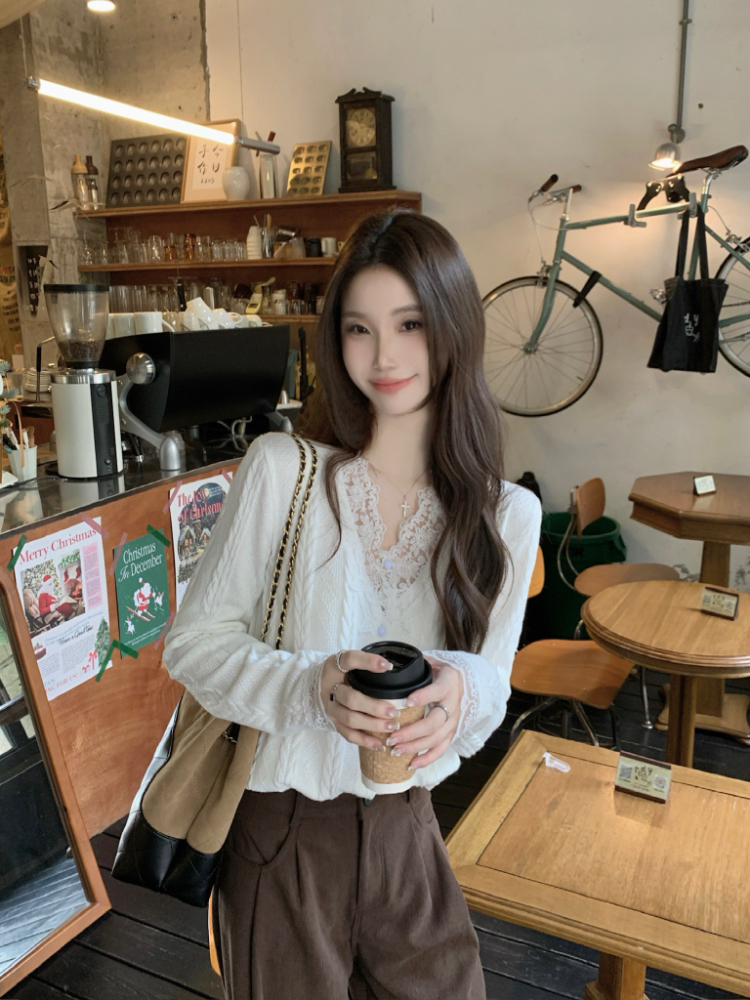 Knitted elegant shirt temperament tops for women