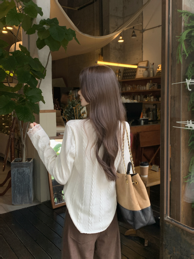 Knitted elegant shirt temperament tops for women