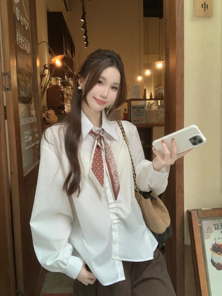 Commuting all-match shirt lapel long sleeve tops for women