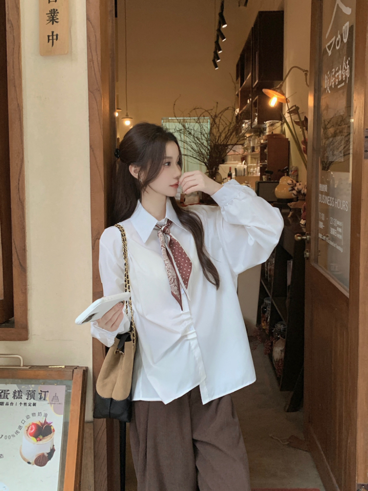 Commuting all-match shirt lapel long sleeve tops for women