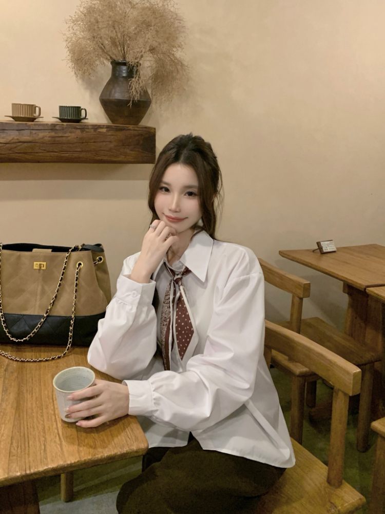 Commuting all-match shirt lapel long sleeve tops for women