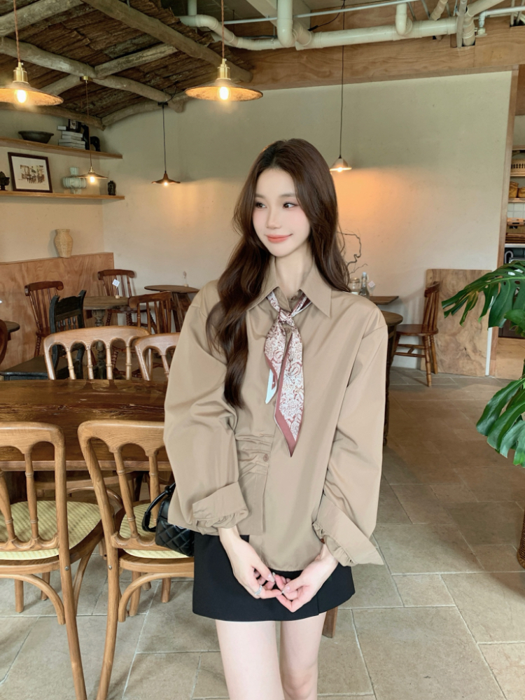 Commuting all-match shirt lapel long sleeve tops for women
