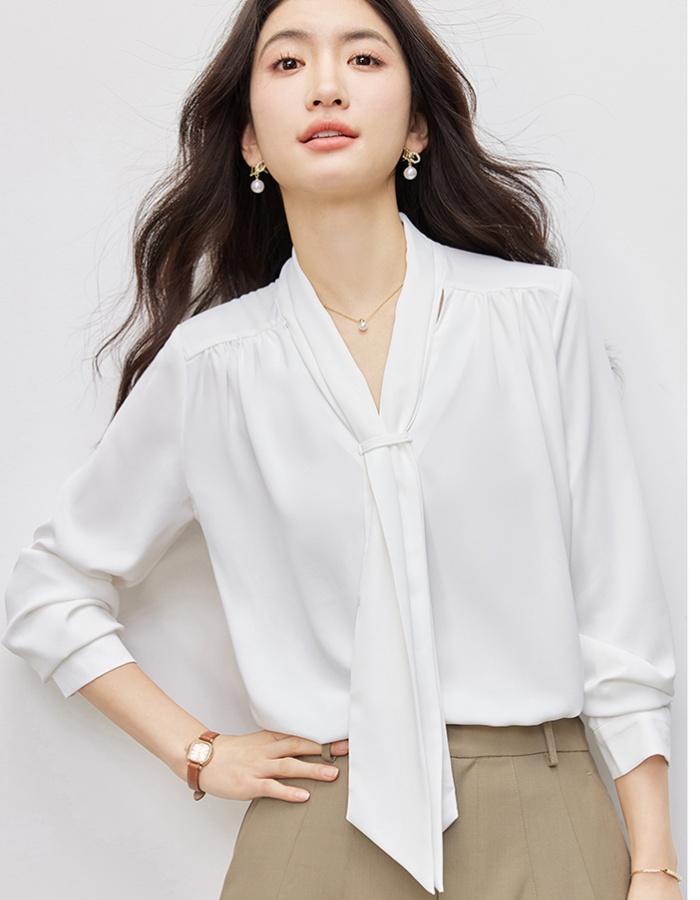 Profession spring and autumn shirt for women