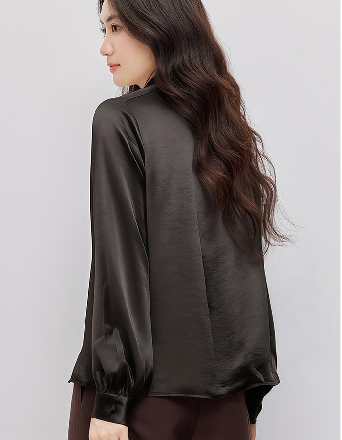Spring temperament shirt fashion simple tops for women