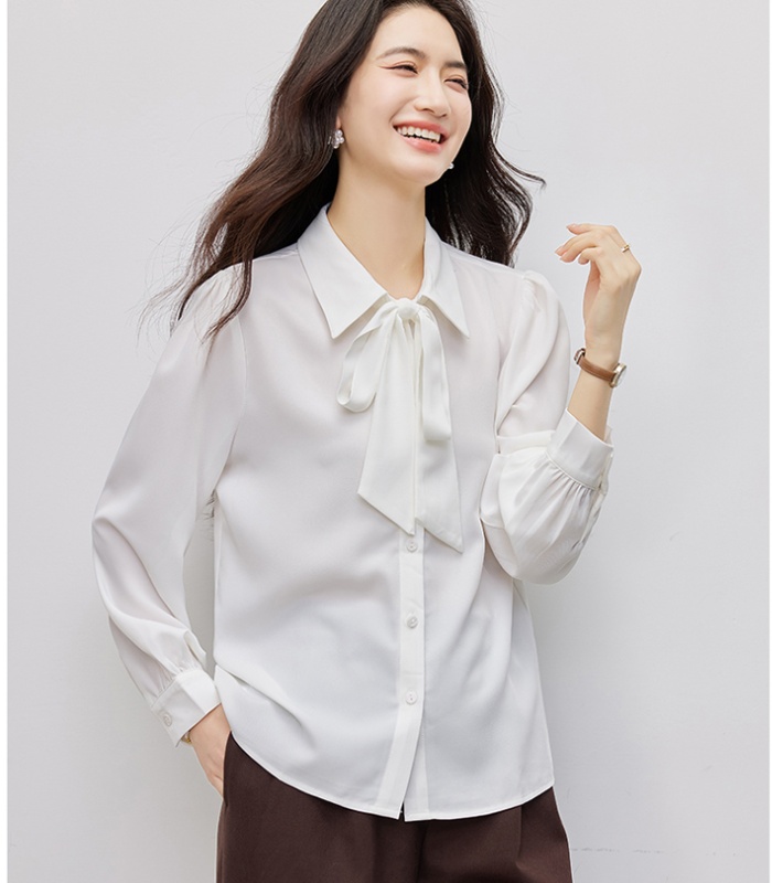 Temperament niche small shirt all-match shirt for women