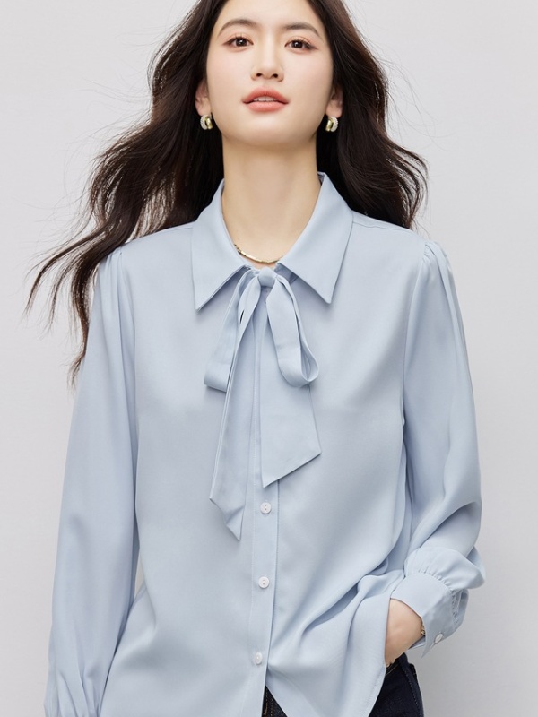 Temperament niche small shirt all-match shirt for women