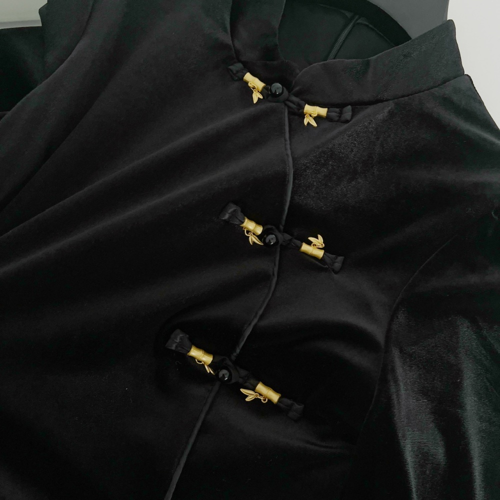 Chinese style velvet cstand collar dress