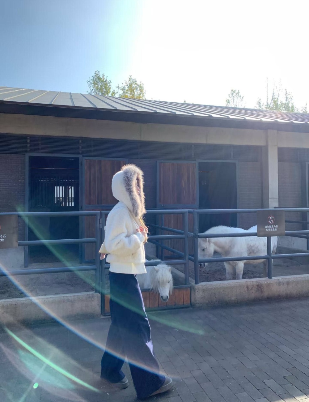 Clip cotton all-match tops winter coat for women