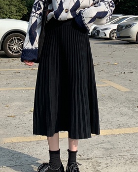 Winter all-match high waist temperament skirt for women