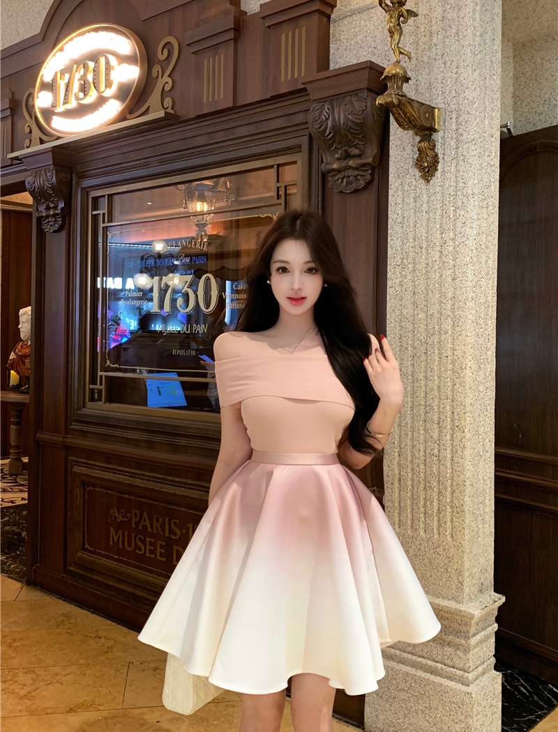 Temperament tops A-line skirt 2pcs set for women