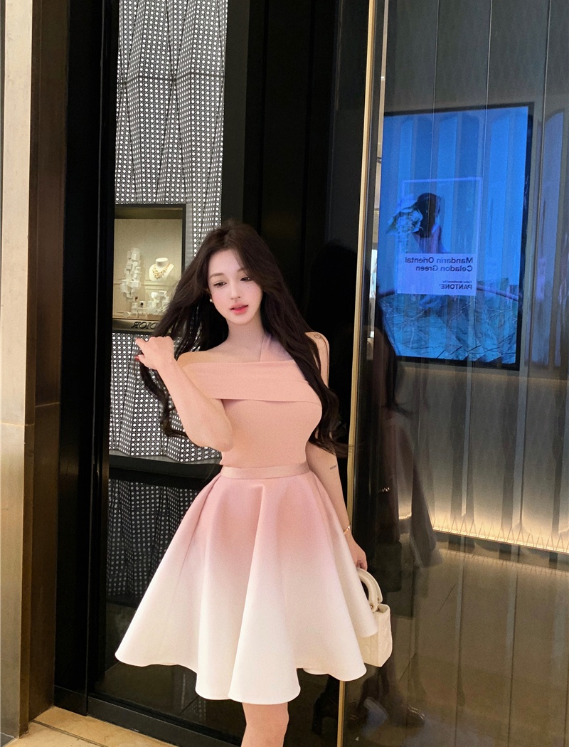 Temperament tops A-line skirt 2pcs set for women