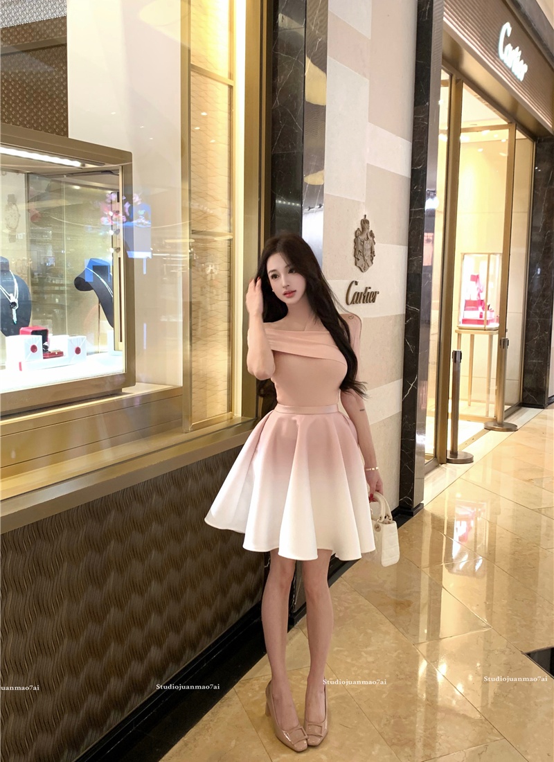 Temperament tops A-line skirt 2pcs set for women