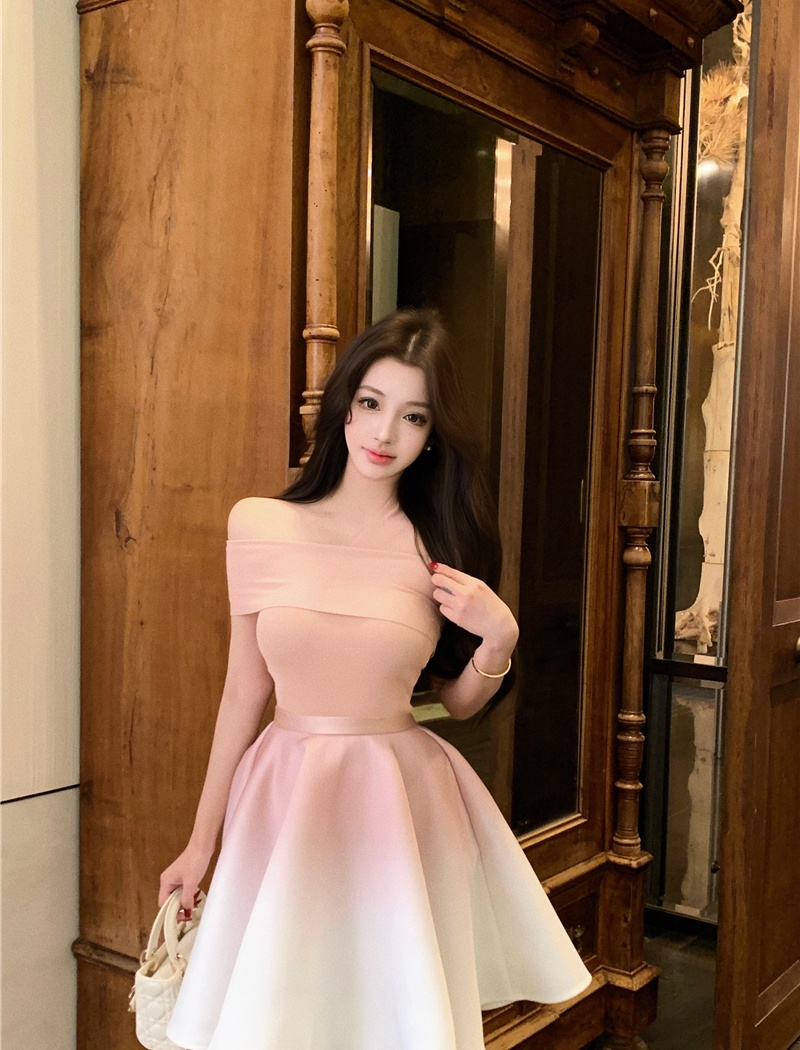 Temperament tops A-line skirt 2pcs set for women