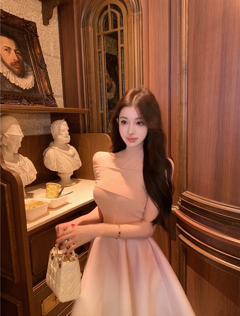 Temperament tops A-line skirt 2pcs set for women