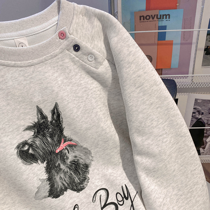 Spring and autumn loose tops round neck hoodie for women