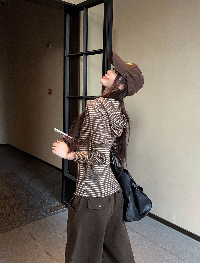 Stripe hooded T-shirt spring and autumn thin tops for women