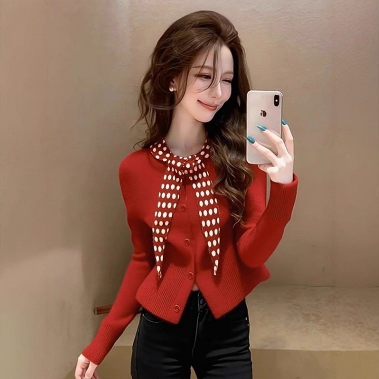 Unique polka dot sweater France style tops for women