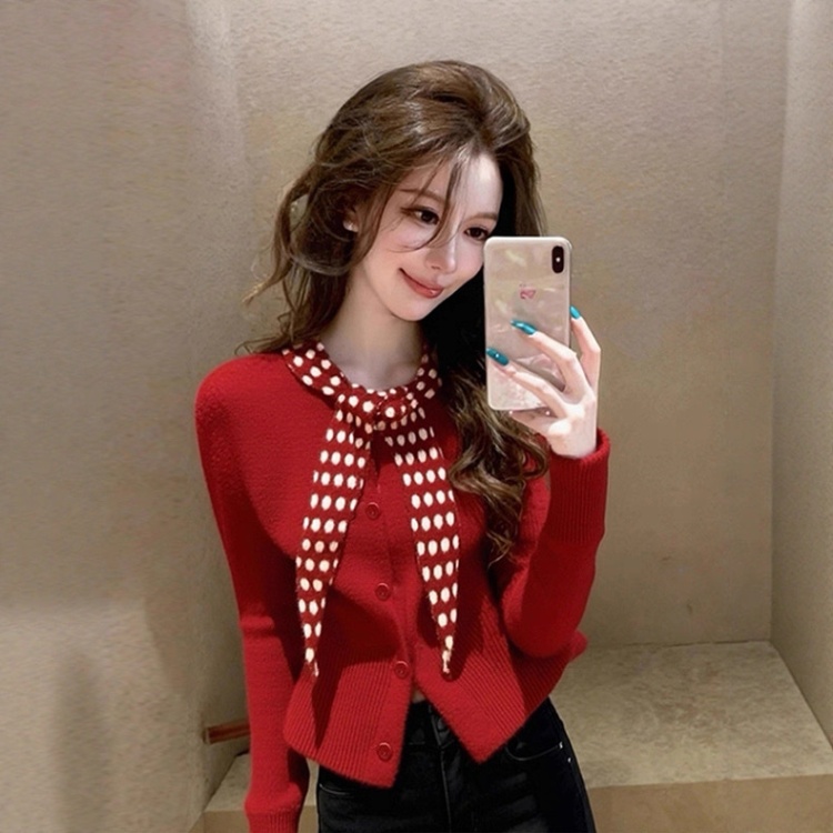 Unique polka dot sweater France style tops for women