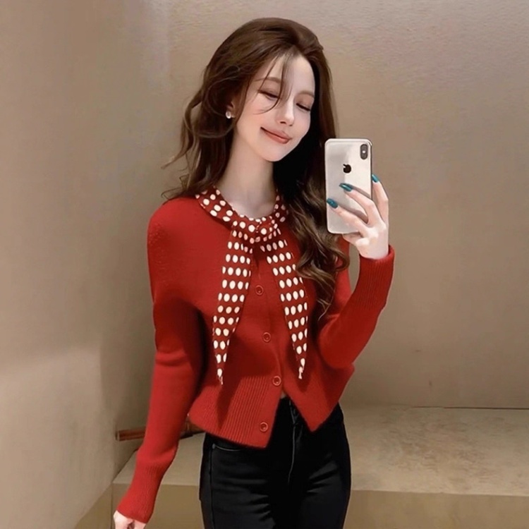 Unique polka dot sweater France style tops for women