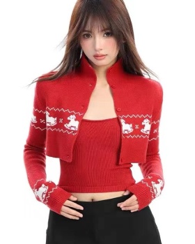 Short sweater thermal bottoming shirt 2pcs set