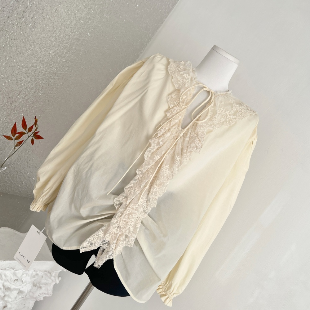 Long sleeve enticement tops shirring shirt for women