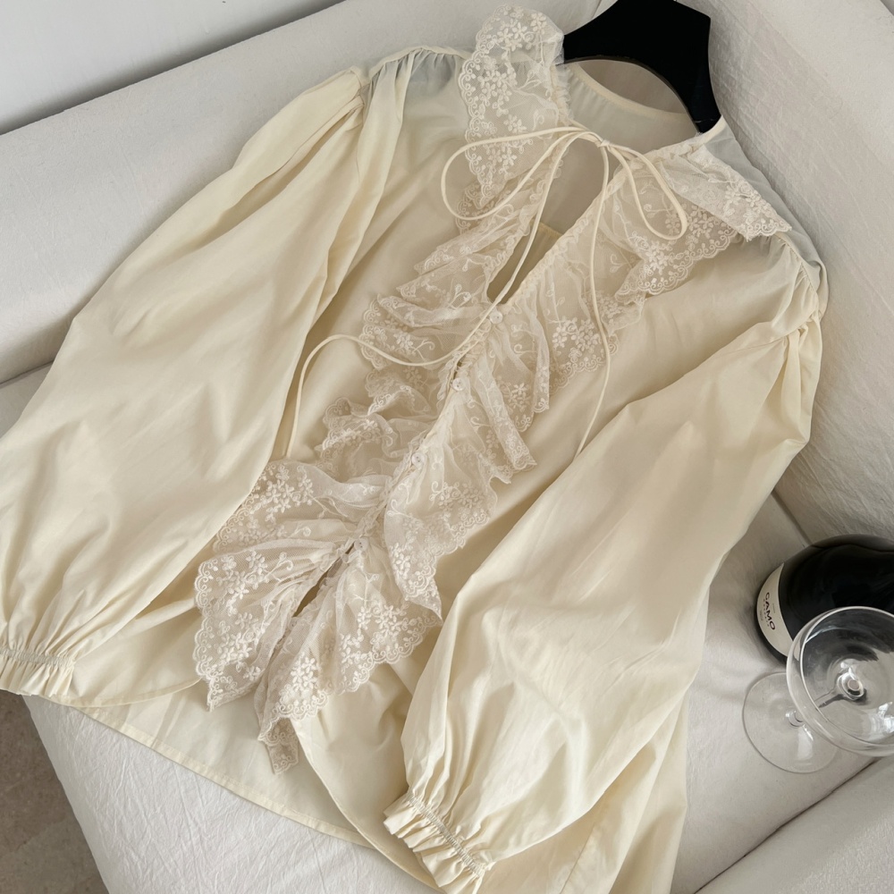 Long sleeve enticement tops shirring shirt for women