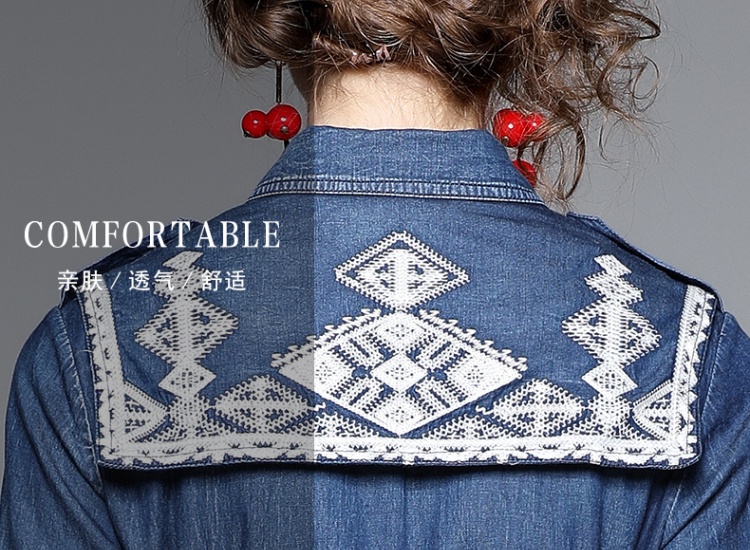 Embroidery spring long dress slim retro dress for women