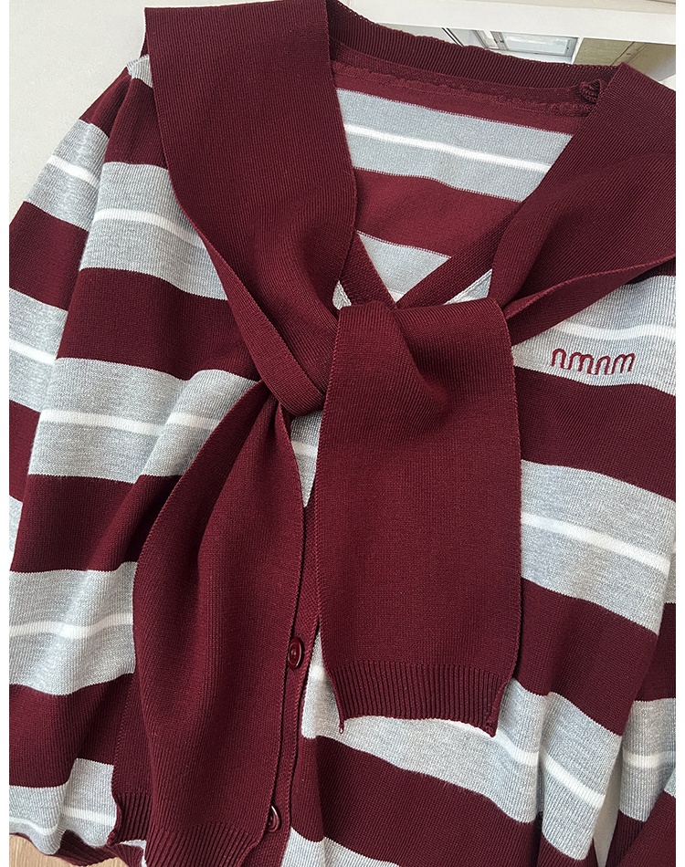 Stripe embroidery V-neck knitted sweater 2pcs set