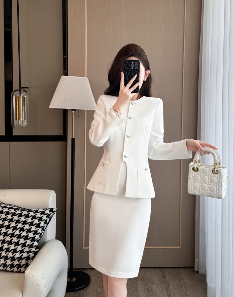 Profession thin business suit summer skirt a set for women