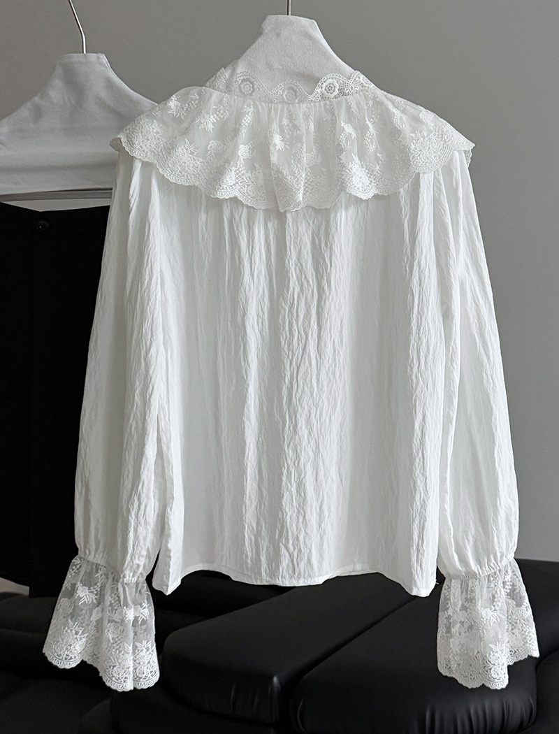 Spring frenum trumpet sleeves tender V-neck lace shirt
