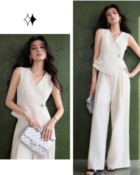 Thin summer suit pants profession coat a set for women