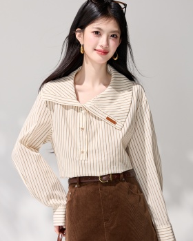 Niche spring lapel irregular shirt
