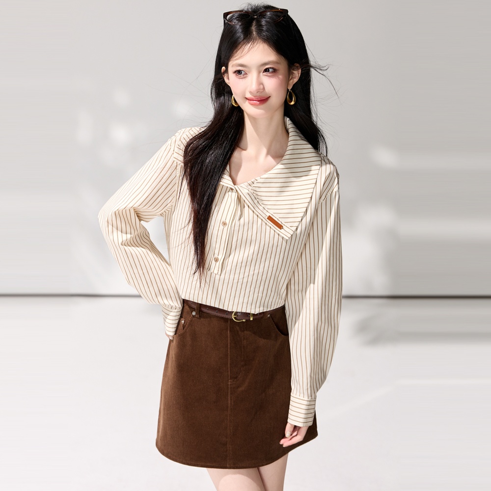 Niche spring lapel irregular shirt