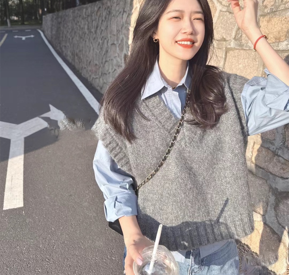 Knitted spring and autumn vest gray sleeveless waistcoat