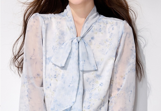 Streamer spring chiffon shirt printing long sleeve tops