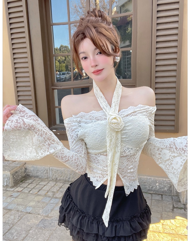 Enticement shirt spring and summer tops for women