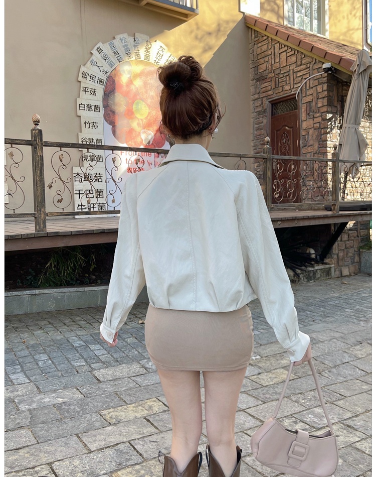 Spring locomotive coat Korean style leather coat