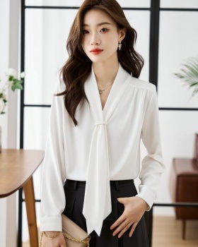 V-neck niche long sleeve tops white spring and autumn shirt