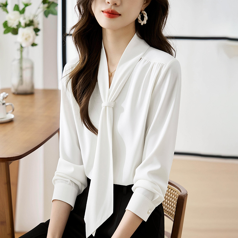 V-neck niche long sleeve tops white spring and autumn shirt