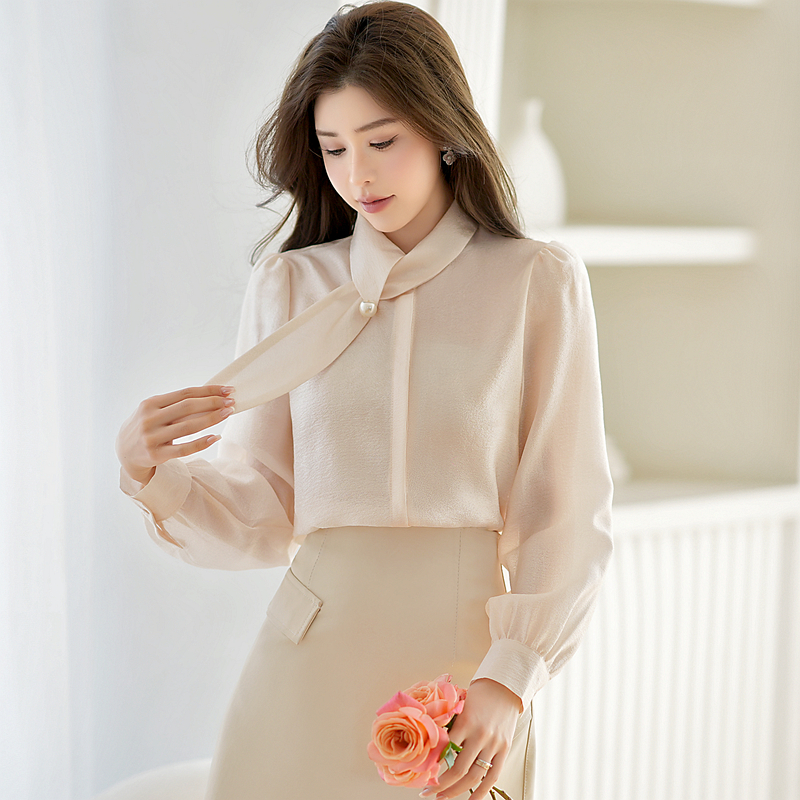 Drape temperament shirt long sleeve cstand collar tops for women