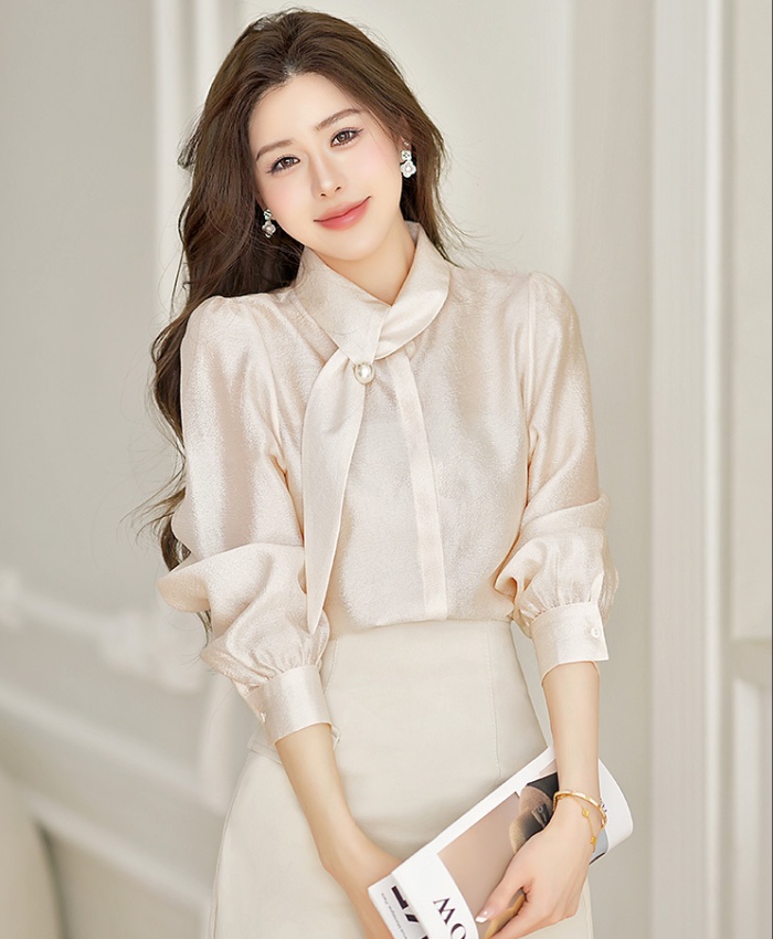 Drape temperament shirt long sleeve cstand collar tops for women