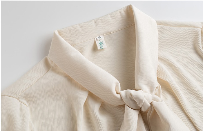 Streamer apricot shirt simple spring tops for women