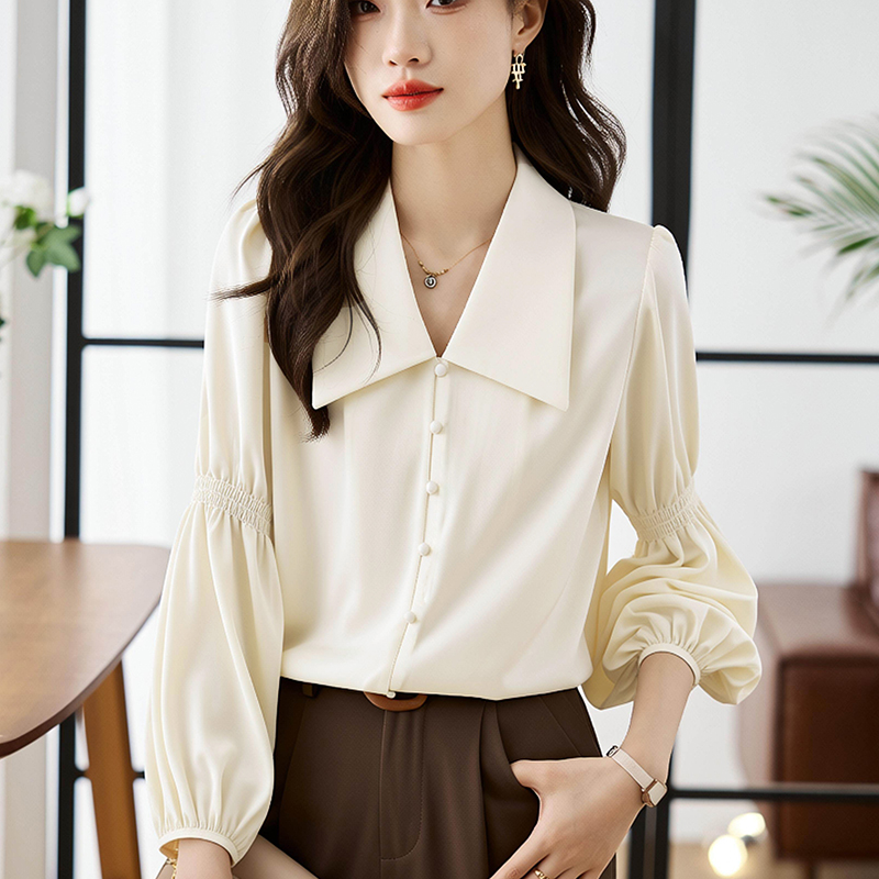 Puff sleeve France style shirt V-neck unique tops for women