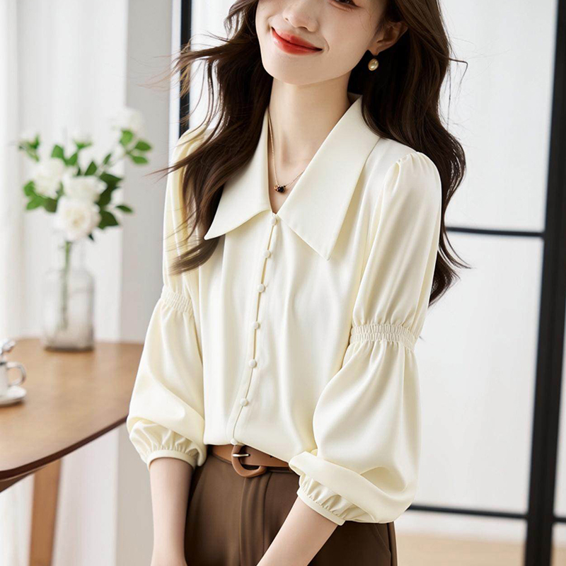 Puff sleeve France style shirt V-neck unique tops for women
