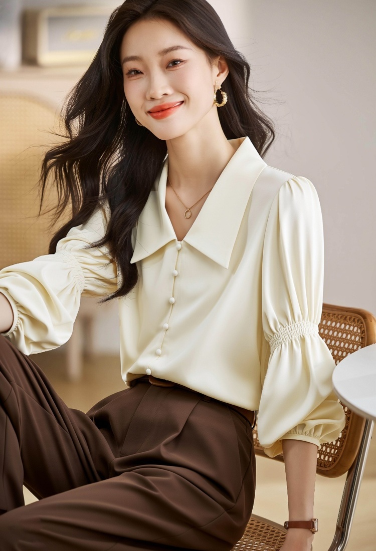Puff sleeve France style shirt V-neck unique tops for women