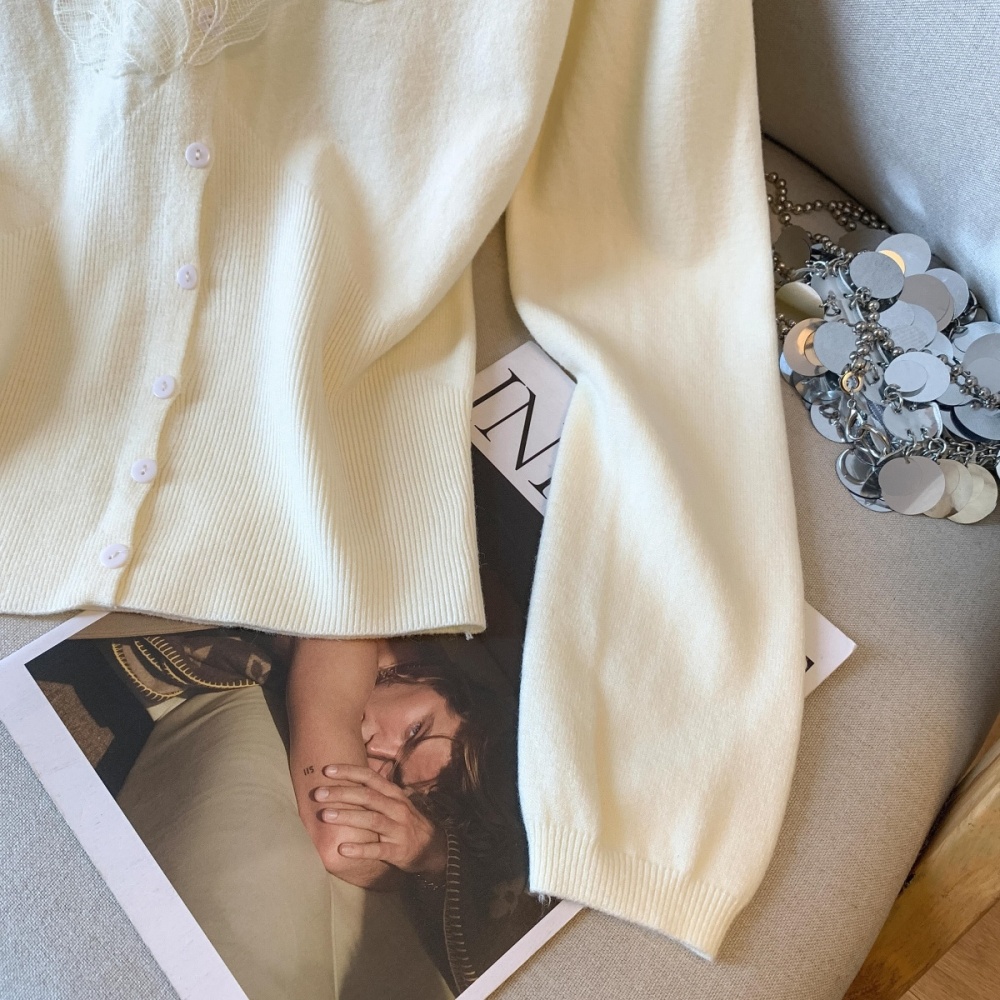 Inside the ride slim tops lace long sleeve sweater