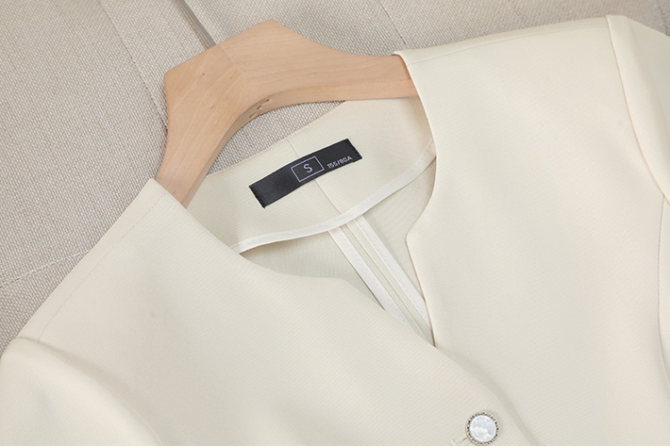 Commuting coat short sleeve skirt a set for women